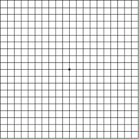 How To Get The Best Use Out Of Your Amsler Grid - Coastal Eye